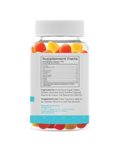 CBD 600mg Fruit Gummies Supplemental Facts