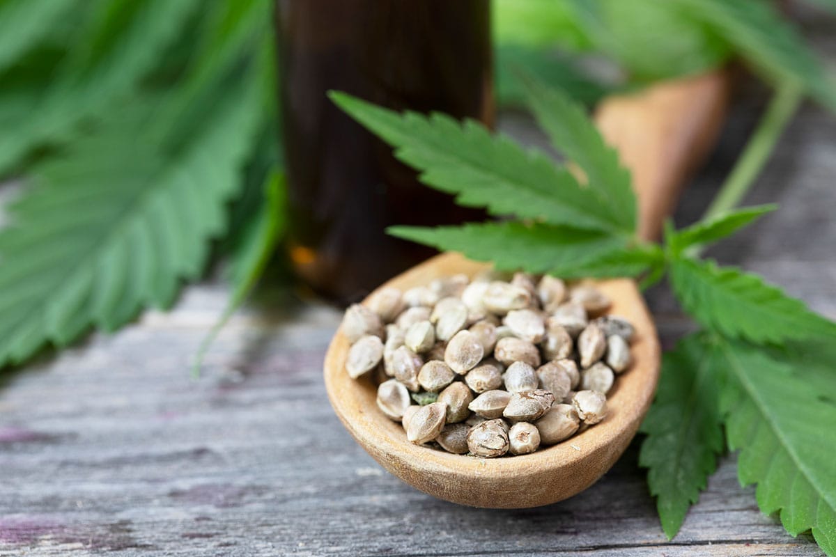 cannabis seeds in spoon. cbd oil for heavy periods. can cbd oil delay your period.